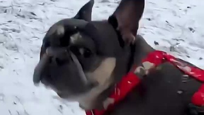 Secik.  Trochę brzydko.