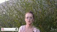 ŻYWOPŁOT liściasty czy iglasty ?! Jakie rośliny wybrać na żywopłot