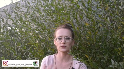 ŻYWOPŁOT liściasty czy iglasty ?! Jakie rośliny wybrać na żywopłot