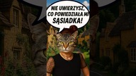 Nie uwierzysz co powiedziała mi sąsiadka! #spółkazoo #funnyshorts #gryplanszowe #zasadygry #zabawny