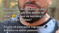 Jak uspokoić psa przy dzwonku?  
#Psy #TreningPsa #UspokajaniePsa