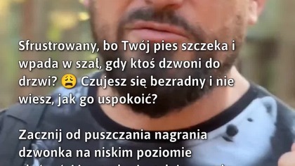 Jak uspokoić psa przy dzwonku?  
#Psy #TreningPsa #UspokajaniePsa