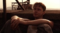 Skazani na Shawshank (1994) | Smołowanie dachu