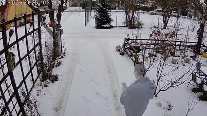 W Garden kuRaż * Widok z kamerek * 21. 02. 2026