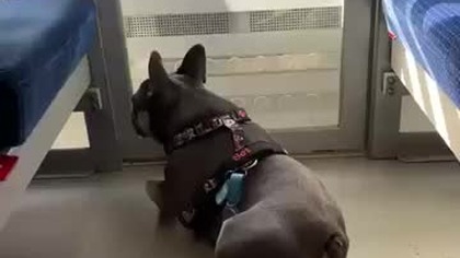 Za chwilę przesiadka.