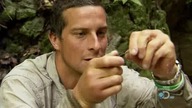 Szkoła Przetrwania - Ultimate Survival S03E09 - Dominican Republic