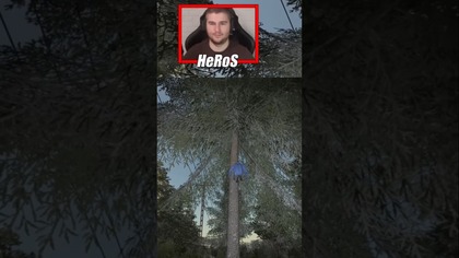 KOLIZ SPADŁ Z DRZEWA  #farming