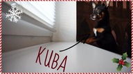MÓJ NOWY PIES KUBA :) VLOGMAS #3