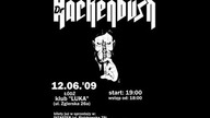 dr Hackenbush - O Jak Ten Wiater Jebie W Ryj