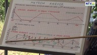 Numerologia Odkłamana