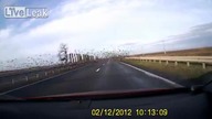 Takie tam ptaszki