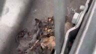 Po 24 latach ktoś się za to zabrał