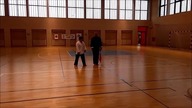 Pokazy kung-fu Gliwice Łabędy