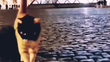 Zuchwała kradzież w Luwrze #kradzież #shortsfeed #news