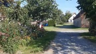 Hortensje i inne kwiaty w Garden kuRaż - 10 wrzesień 2023