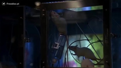 House M.  D.  S03E03 Informed Consent