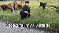 Vlog z farmy #49 Czerwiec 2025 4K