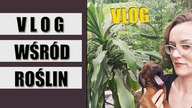 ROŚLINY w domu i w ogrodzie -Vlog