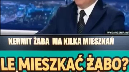 Kermit żaba zdradza ile ma mieszkań  #polityka #polskapolityka #polska #kontrowersje #memes