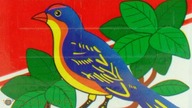 Pajarito, Indega, La Rubia: Test Yerba Mate Paragwajskich, Opinie. Czajnikowy.pl