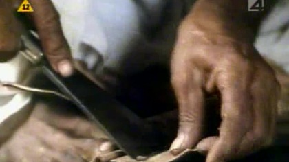 Galileo. 059. TV4