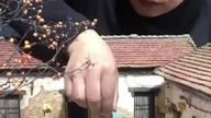 Przepiękna miniaturowa wioska w Chinach.