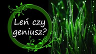 Leń czy geniusz? Czyli nieskoszona trawa w jagodzie kamczackiej.