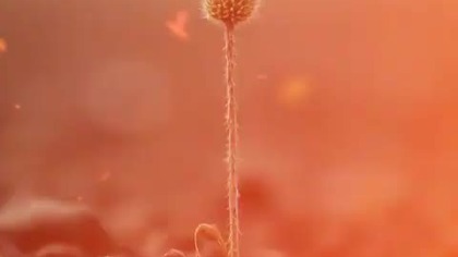 Przekształć swoje przeszkody w siłę! Czas na działanie!