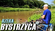 500 DZIKOŚĆ, NATURA, BYSTRZYCA - RZEKA Z DWOMA NURTAMI