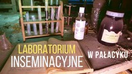 Laboratorium inseminacyjne w pałacyku - URBEX 4K 031