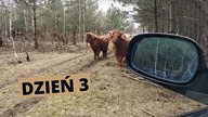 Vlog z farmy.  Budowa poskromu cz. 3