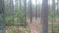 Bunkier harcerski - Zagnańsk, Kielce