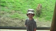 Dzieciaki w ZOO - kompilacja