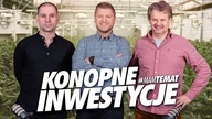 Branża konopna rośnie w siłę! Czy to dobra inwestycja? | Piotr Multan, Marek Kulik 3H #MamTemat 27