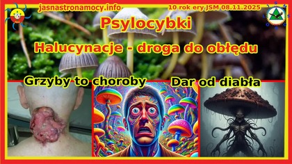 Psylocybki Halucynacje - droga do obłędu.  Grzyby to choroby - grzybice itd.