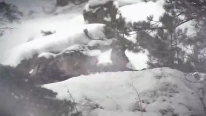 comp4ny of heroes oddział bohaterów 2013