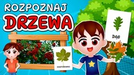  Kazio i DRZEWA film edukacyjny dla dzieci - Rozpoznawanie drzew - Zagadki 