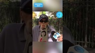 DRUZGOCĄCE słowa PSYCHOLOGA o Polakach Rozumie pan ten absurd?! #shorts