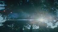 When. They. See. Us. 2019.pl. S01E03. 720p. WEB. X264-J