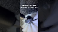 Profesjonalne czyszczenie wnętrza samochodu z K2 BRILL SET PRO!  Trzy różne szczot...