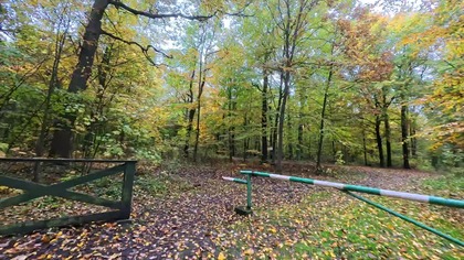 Miechowice, Bytom, Parking, Las, Polska