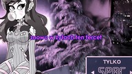 D. Va w stylu Tamagotchi (Taconafide)