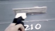 Listonosz vs kot