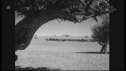 Tysiąc mil w kurzu odc 5 Incydent na skraju szaleństwa 1959 lektor.pl. western