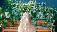 Właśnie teraz