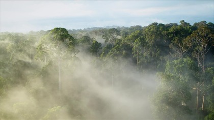 Cud bior&oacute;żnorodności