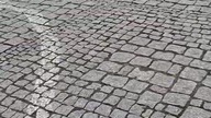 ukochana prezes i ukochany tatuś podczas przejazdu przez Cieszyn