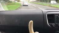 Oto jak w Anglii radzą sobie z osobami rozmawiającymi przez telefon