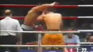 Virgil Hill vs Dariusz Michalczewski
