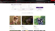 ADOPTCJA PSA CZY KOTA ODCINEK 9